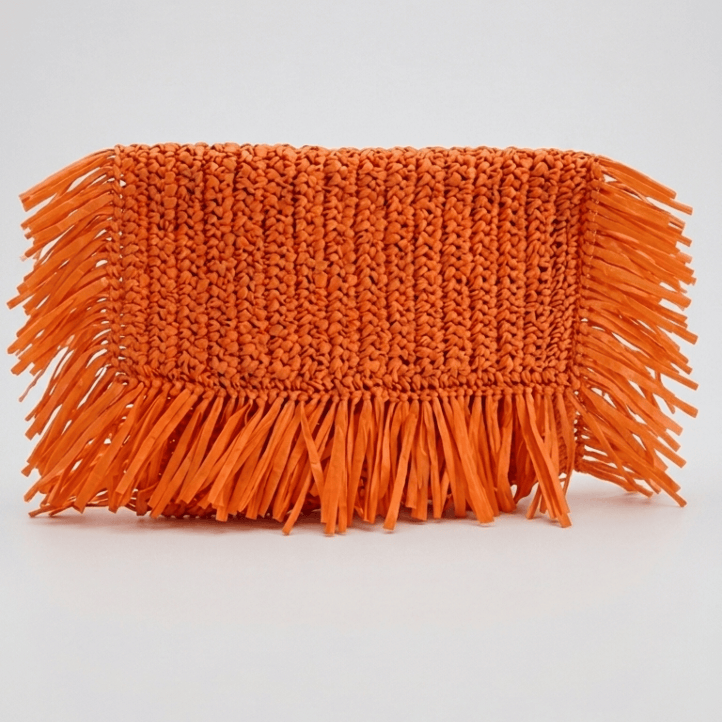 Fringed Raffia Clutch Bag